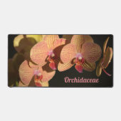 Orchidées roses de corail spectaculaire personnali (Recto)