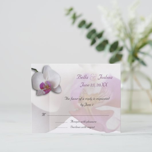Orchidées roses RSVP (Debout devant)
