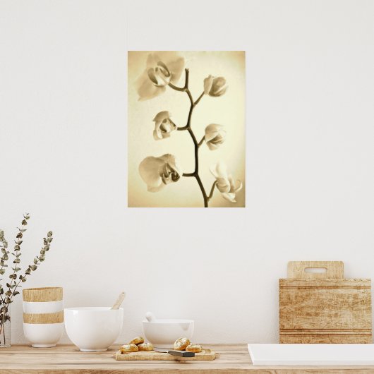 Orchidées {Sepia} | Poster (Cuisine)