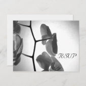 Orchidées sur la carte de réponse RSVP de mariage (Devant / Derrière)