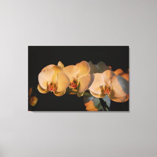 orchidées sur toile imprimée du coucher de soleil (Recto)