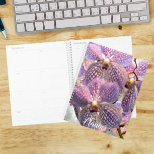 Orchidées Vanda Violettes Florales