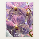 Orchidées Vanda Violettes Florales (Devant)