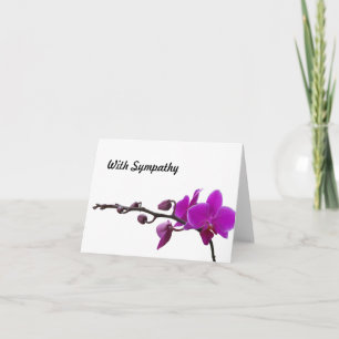 Orchidées violettes en fleurs carte blanche de sym
