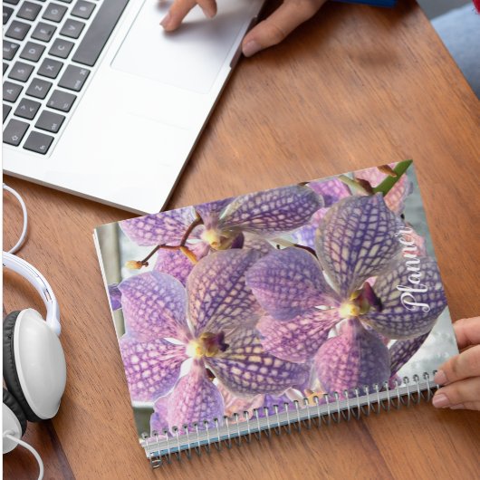 Orchidées violettes Vanda Floral