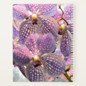 Orchidées violettes Vanda Floral (Dos)
