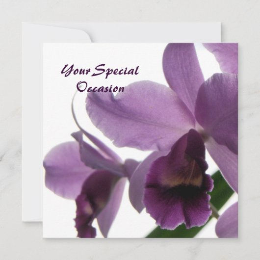 Orchids All-Occasion Invites Kaart (Voorkant)