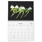 Orchids Calendar Kalender (Jan 2027)