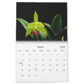 Orchids Calendar Kalender (Mar 2026)
