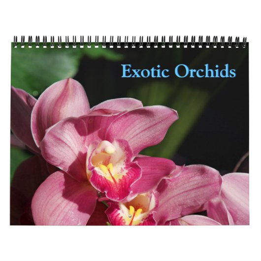 Orchids Calendar Kalender (Hoes)