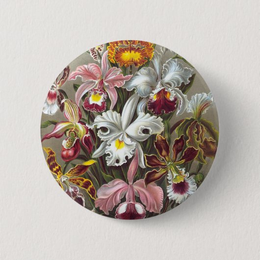 Orchids Ernst Haeckel Fine Art Ronde Button 5,7 Cm (Voorkant)