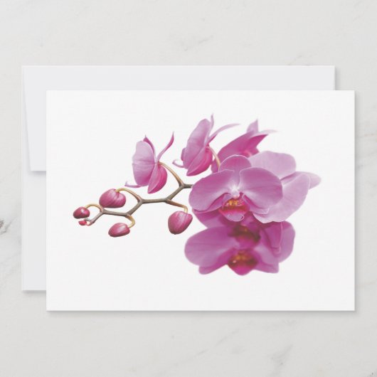 Orchids Indure Wedding Packets Kits (Voorkant)