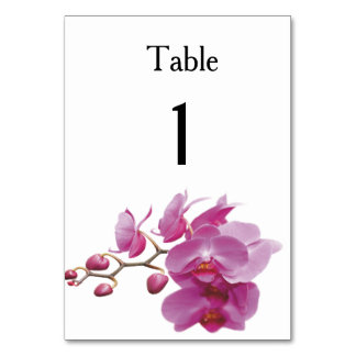 Orchids Indure Wedding Packets Kits Kaart