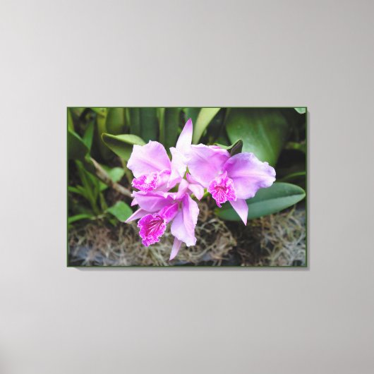 Orchids Portrait Canvas Afdruk (Voorkant)