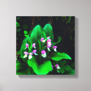 Orchis Wildbloemen Canvas Afdruk