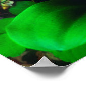 Orchis Wildbloemen Poster (Hoek)