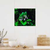 Orchis Wildbloemen Poster (Keuken)