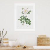 Ordinary White Rose  Bloemenkunst Poster (Keuken)