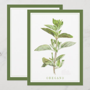 OREGANO FRAIS 5,5x7,5 Carte à plat / Vert