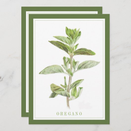 OREGANO FRAIS 5,5x7,5 Carte à plat / Vert (Devant / Derrière)