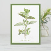 OREGANO FRAIS 5,5x7,5 Carte à plat / Vert (Debout devant)