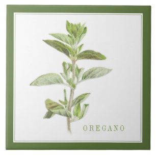 OREGANO FRAIS 6x6 Carreaux en céramique (+texte) V
