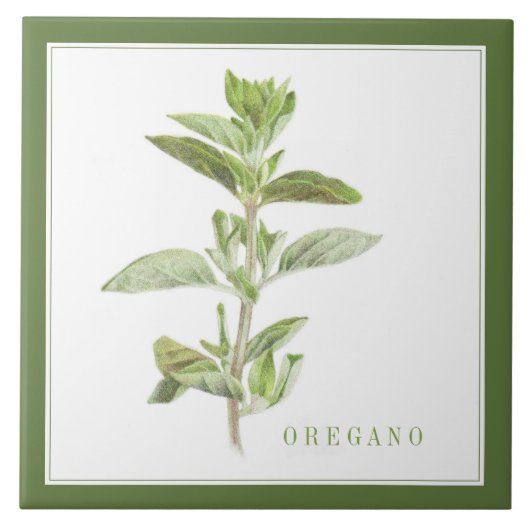 OREGANO FRAIS 6x6 Carreaux en céramique (+texte) V (Devant)