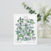 Oregano medicinale kruiden Plant tekening Briefkaart (Staand voorkant)
