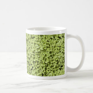 Oregano Mug