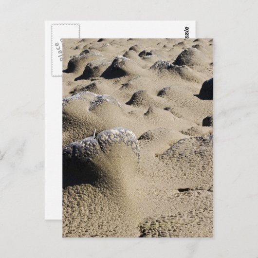 Oregon Beach Briefkaart (Voorkant / Achterkant)