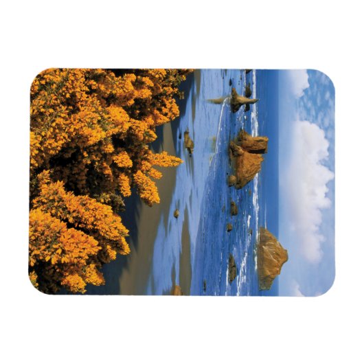 Oregon Beach Uitzicht in Bandon Magneet (Horizontaal)