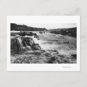 Oregon City, OF Zalm Vist op Willamette Briefkaart