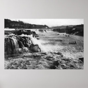 Oregon City, OF Zalm Vist op Willamette Poster