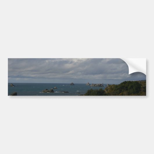 Oregon Coast Bumpersticker (Voorkant)