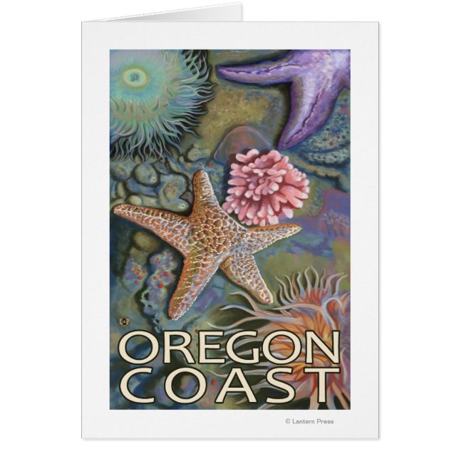 Oregon Coast Tidepool (Voorkant)