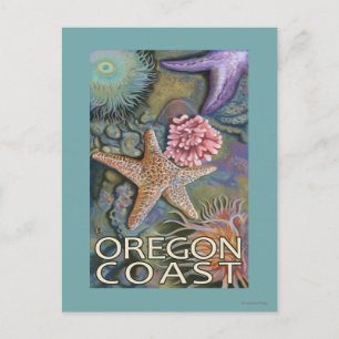 Oregon Coast Tidepool Briefkaart