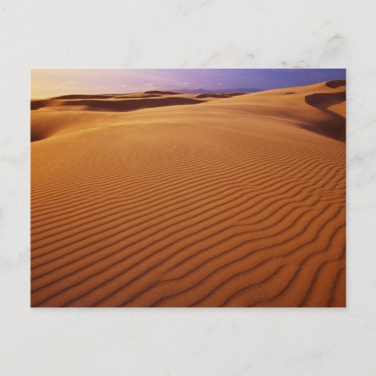 Oregon Dunes National Recreation Area, Oregon op Briefkaart (Voorkant)