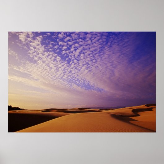 Oregon Dunes National Recreation Area, Oregon Poster (Voorkant)