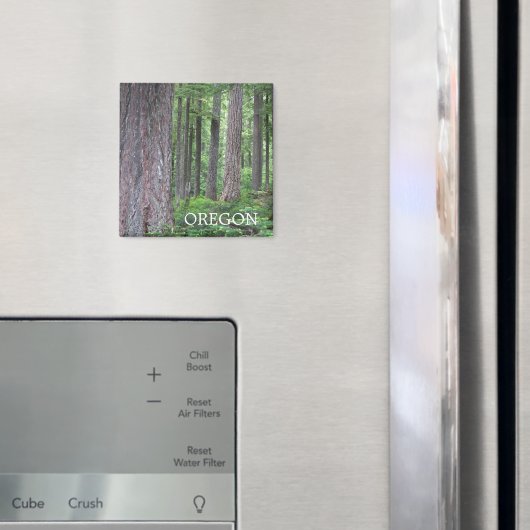 Oregon Evergreen Forest Magneet (Insitu (Koelkast))