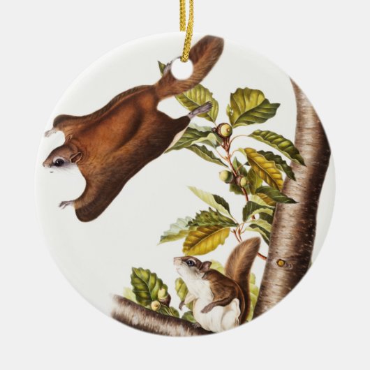 Oregon Flying Squirrel (Pteromys Origonensis) Keramisch Ornament (Voorkant)