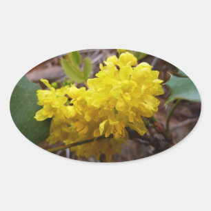 Oregon Grape Flowers Yellow Wildbloemen Ovale Sticker