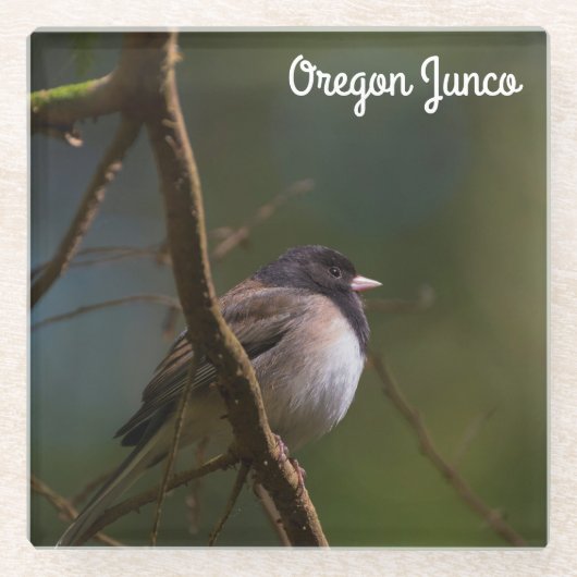 Oregon Junco Glazen Onderzetter (Voorkant)