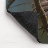 Oregon Junco Muismat (Hoek)