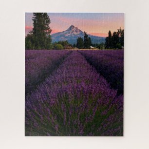 Oregon Lavender Field die de Hood van de Band over Legpuzzel