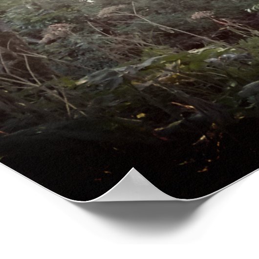 Oregon Magic - Poster (Coin)