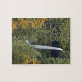 Oregon, Silver Herfsten State Park, Noord-Herfsten Legpuzzel (Horizontaal)