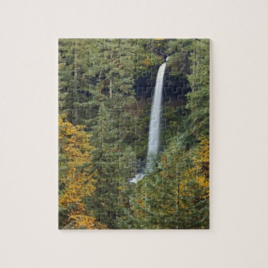 Oregon, Silver Herfsten State Park, Noord-Herfsten Legpuzzel (Verticaal)