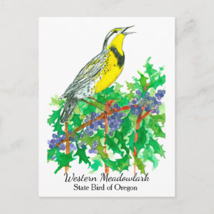 Oregon State Flower Bird Meadowlark Briefkaart