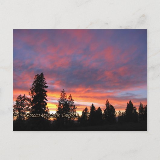 Oregon Sunset Briefkaarten (Voorkant)