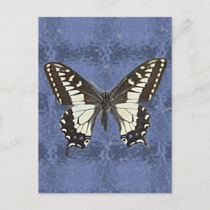 Oregon Swallowtail Butterfly Briefkaart